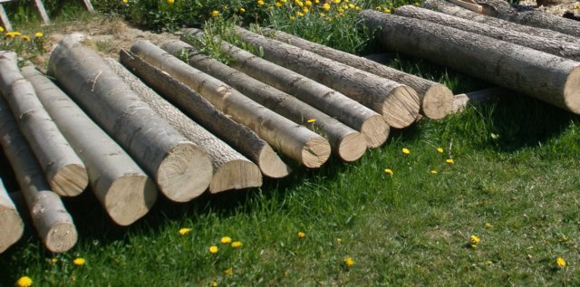 tackochlovslappvibrjamedvarsinstock.jpg